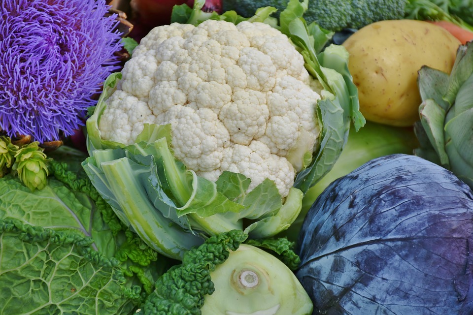 vegetable